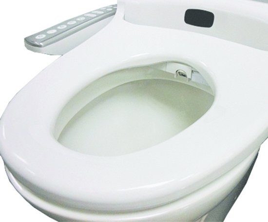 Englefield Bidet Seat