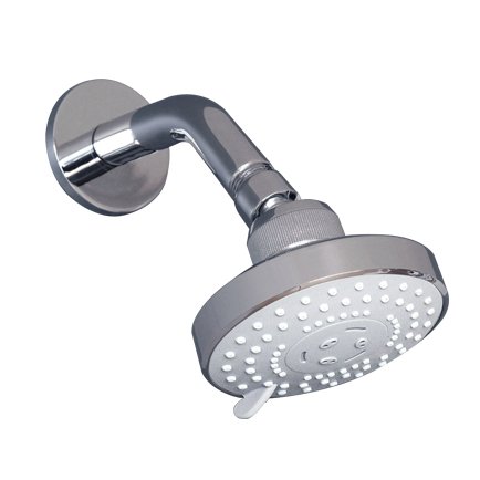 Raymor Avon Multi Function Shower Rose