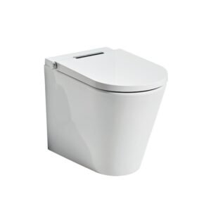 Axent.One Plus Bidet AXE311