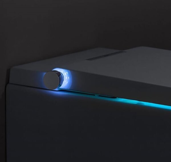 Axent.One Plus Bidet AXE310 Wall Hung