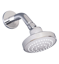 Raymor Avon Single Function Shower Rose