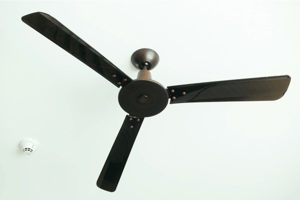 Ceiling fan services we offer: